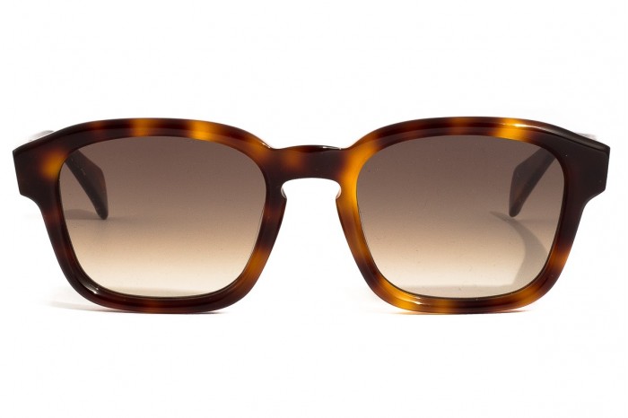 DANDY'S Epicuro ts3 Havana gafas de sol estilo pantos