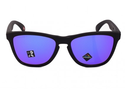 Sonnenbrillen OAKLEY Frogskins OO9013-H655 Prizm