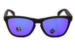 Zonnebril OAKLEY Frogskins OO9013-H655 Prizm