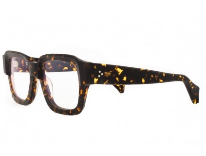 Lunettes de vue DANDY'S Skinner Rough ts1 2