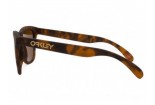 Sonnenbrille OAKLEY Frogskins OO9013-C555 Prizm