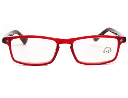 Pre-assembled reading glasses THE READERS Goethe rdhv