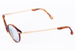 Sonnenbrillen WEB we 5006 r67