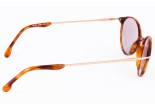 Sonnenbrillen WEB we 5006 r67