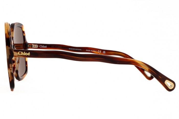 CHLOÉ CH0086S 005 sunglasses