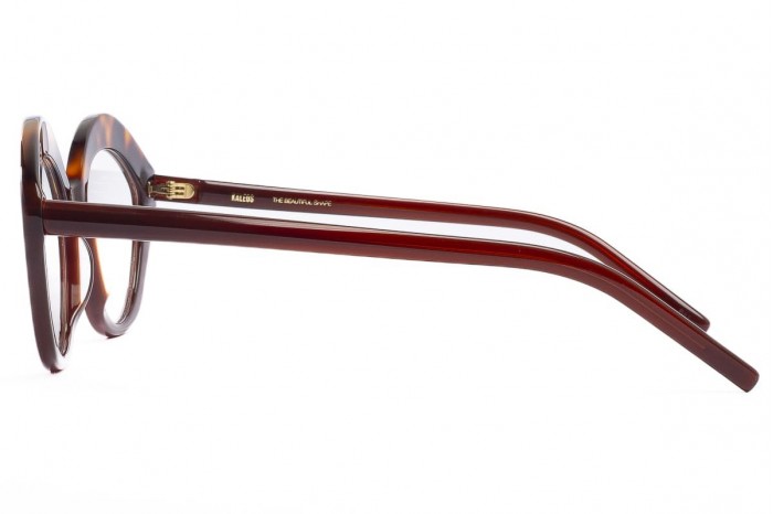Gafas graduadas KALEOS Pratt 003