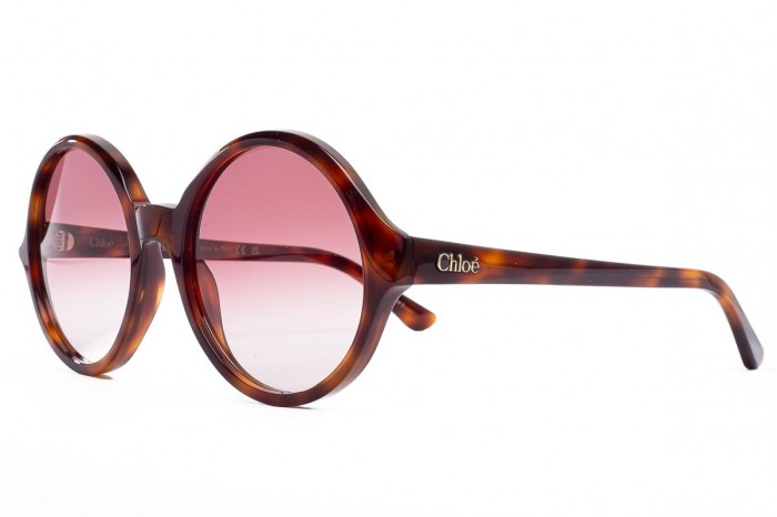 Sunglasses CHLOÉ CH0290S 003