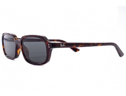 Lunettes de soleil RAY BAN rb4455 zuri 1359/87 2