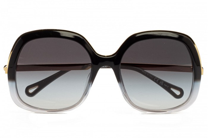 Gafas de sol CHLOÉ CH0327S 005