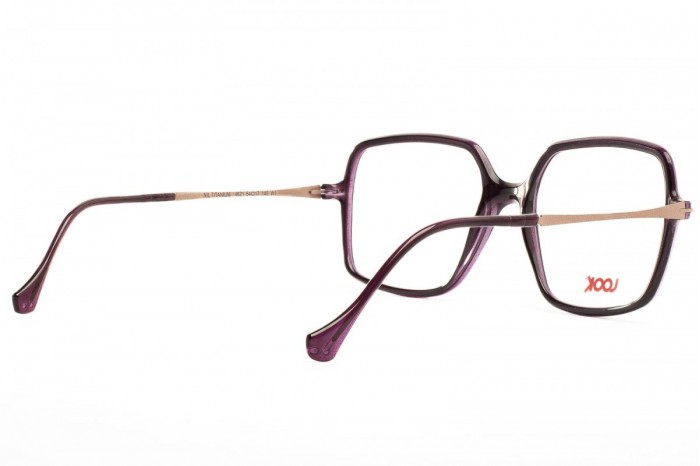 Очки LOOK 4621 w1 Nil Titanium