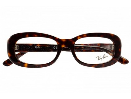 RAY BAN RB 2221 V 2012 Brille