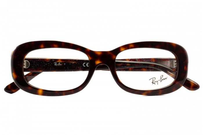 RAY BAN RB 2221 V 2012 Brille