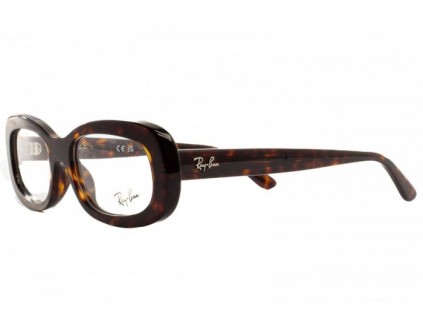 RAY BAN RB 2221 V 2012 Brille 2