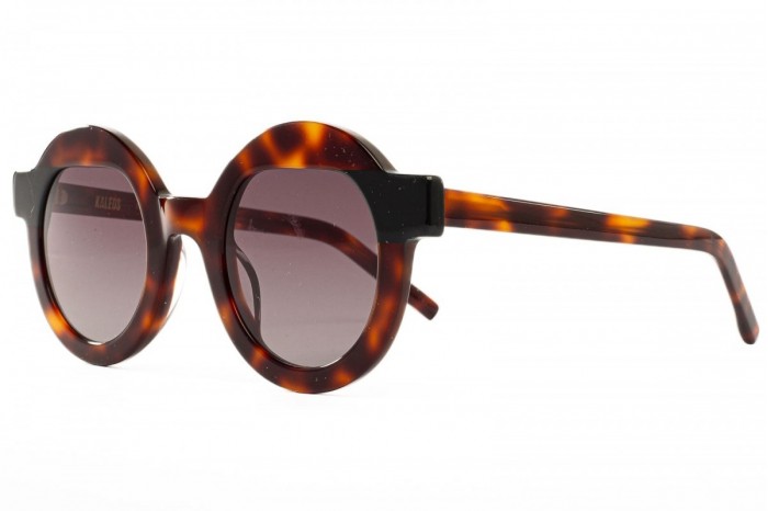 Gafas de sol KALEOS Pollitt 002