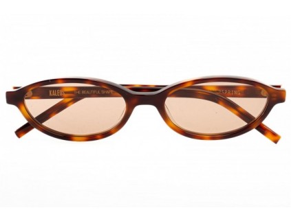 Occhiali da sole KALEOS Summerspring 002 Photochromic